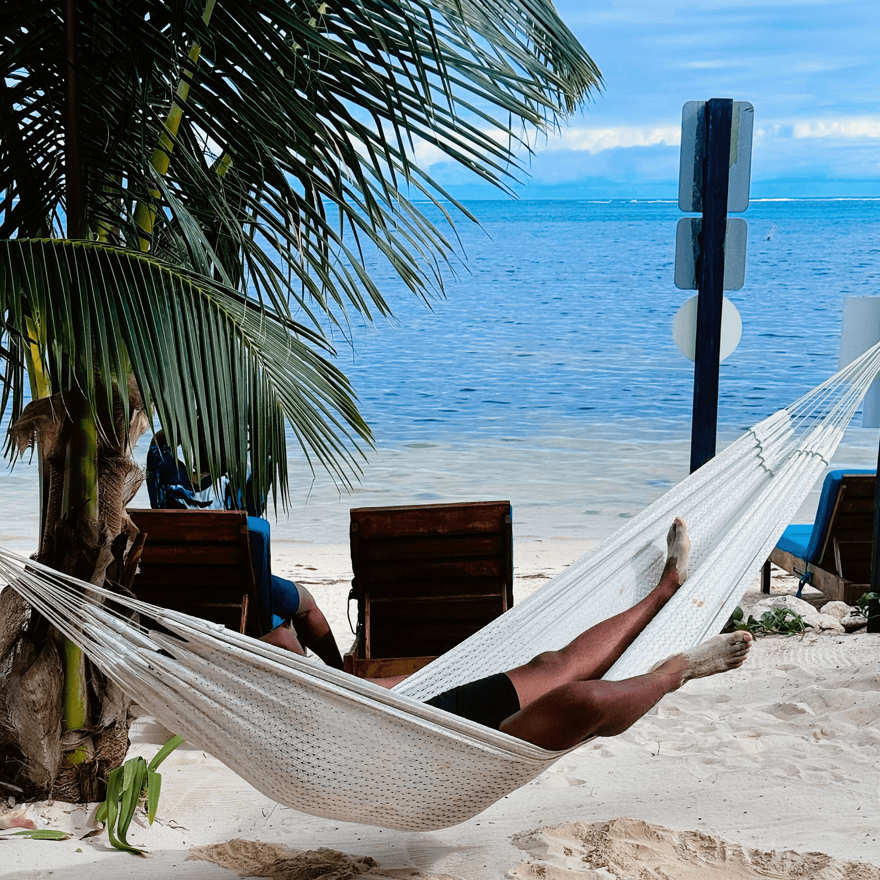A person relaxes in a hammock by the beach with palm trees and a calm sea in the background.
