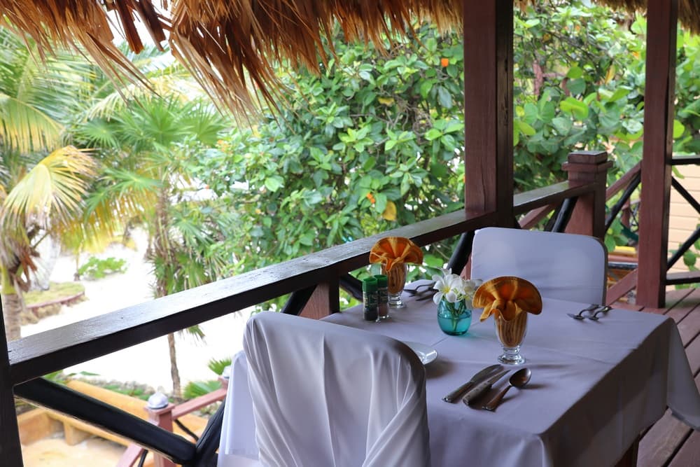 A cozy dining table with tropical decorations overlooks lush greenery.