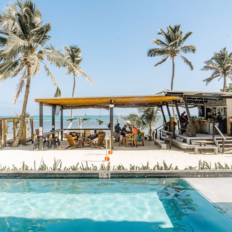 A beachside bar with palm trees and a swimming pool overlooks the ocean.